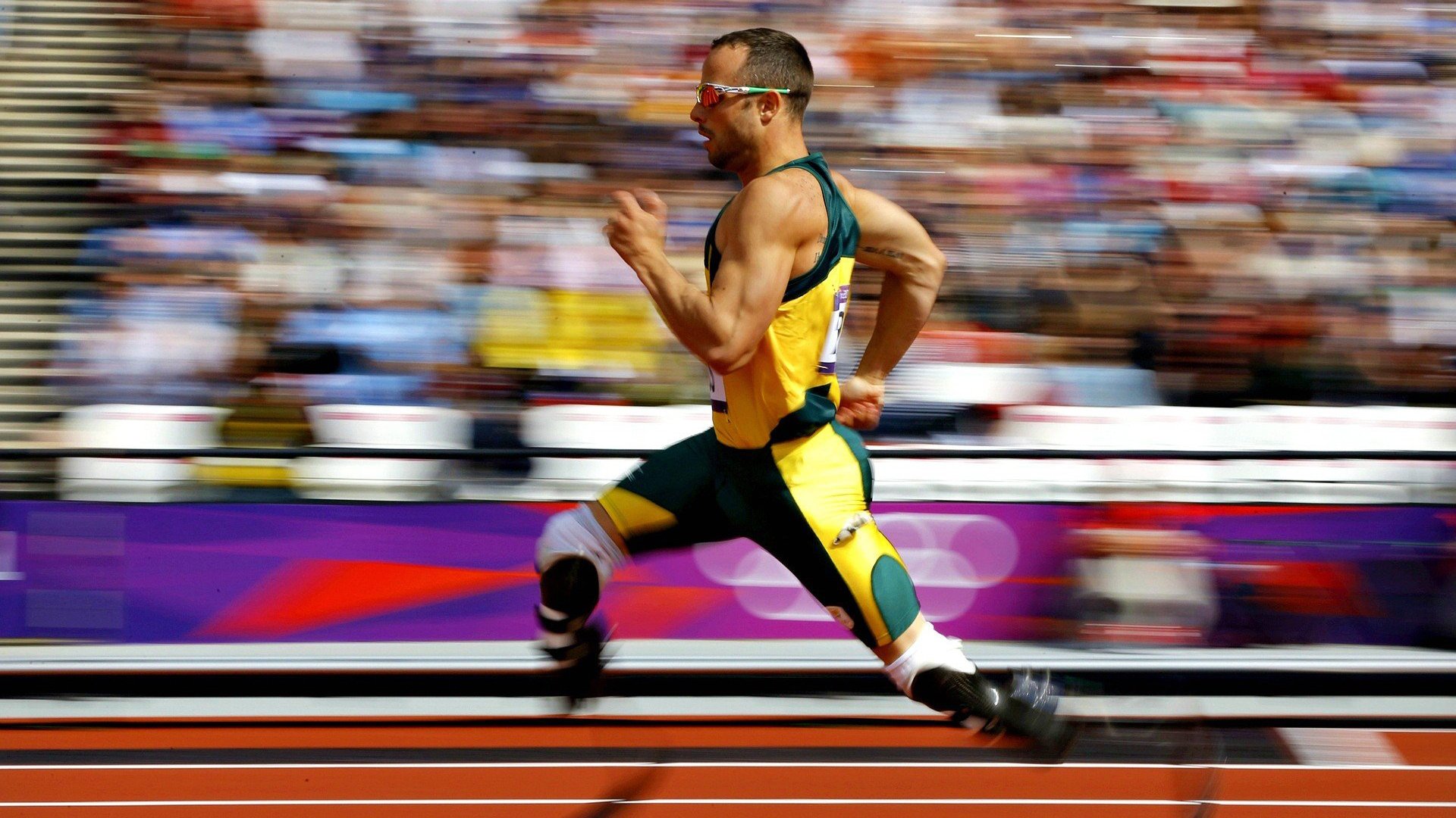 当天才遇见努力：体育传奇的诞生，体育传奇故事